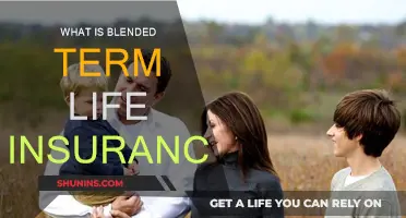 Understanding Blended Term Life Insurance: Pros and Cons