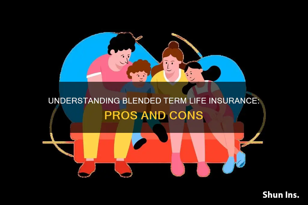 what is blended term life insurance