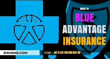 Blue Advantage Insurance: Understanding Your Healthcare Benefits