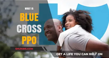 Understanding Blue Cross PPO: Benefits, Coverage, and How It Works
