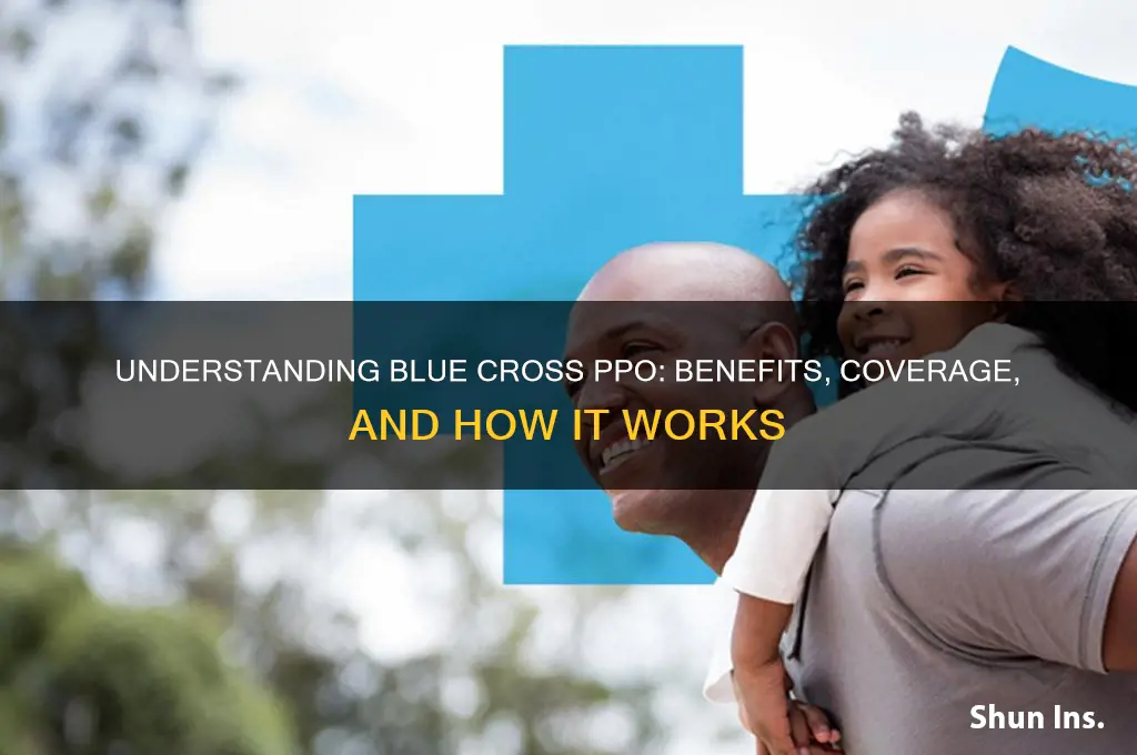 what is blue cross ppo