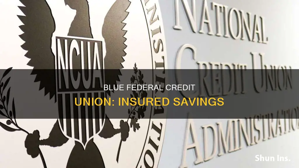 what is blue federal credit union savings account insured by