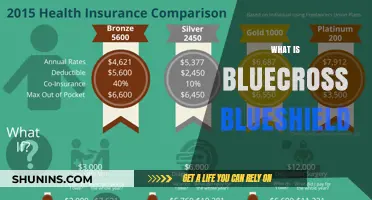 BlueCross BlueShield: Understanding Your Health Insurance Options