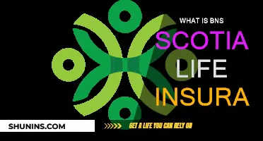 BNS Scotia Life Insurance: What You Need to Know