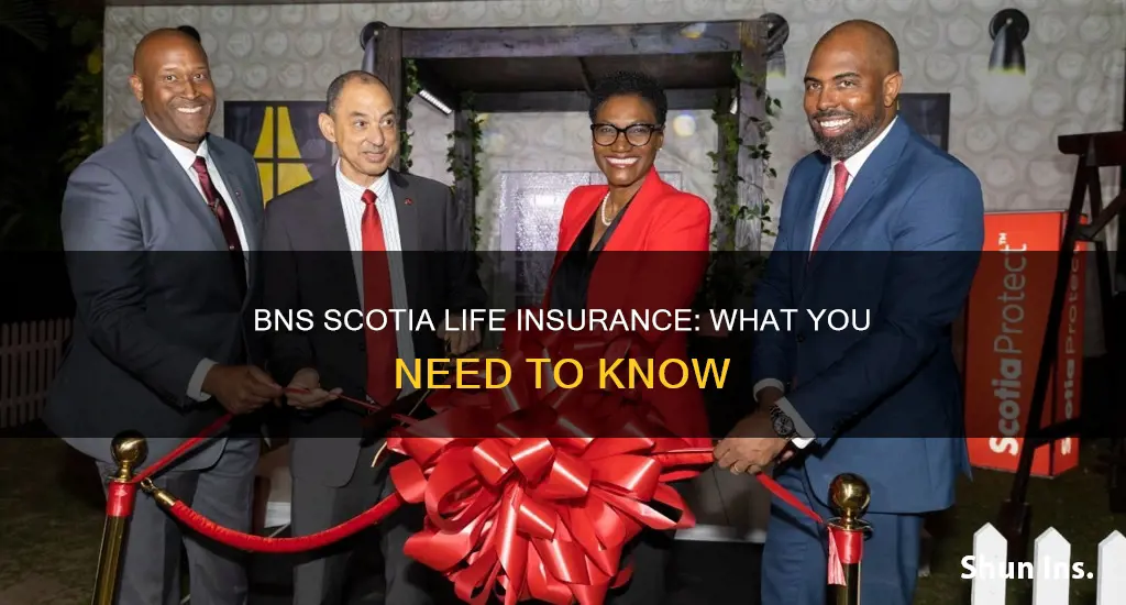 what is bns scotia life insurance