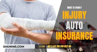 Auto Insurance: Bodily Injury Basics