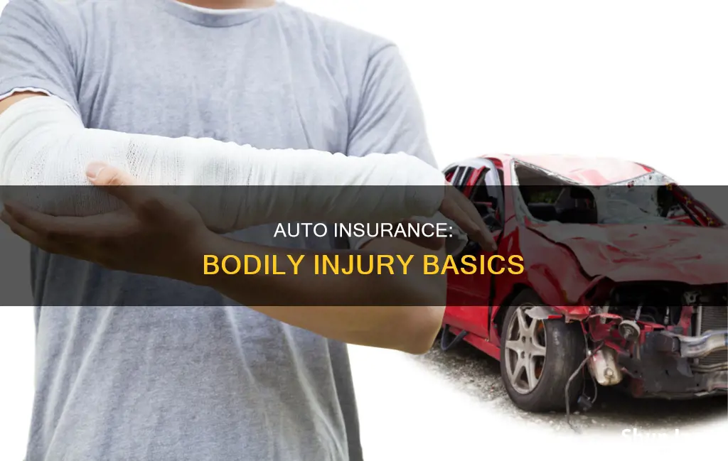 what is bodily injury auto insurance