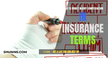 Understanding Bodily Injury Compensation: Unraveling the Insurance Jargon