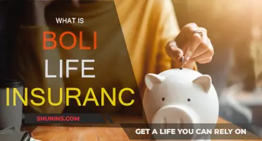 Boli Life Insurance: A Smart Investment Strategy?