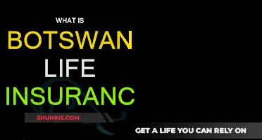 Botswana Life Insurance: Understanding the Basics