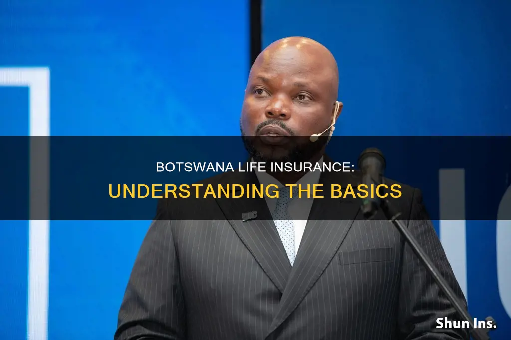 what is botswana life insurance