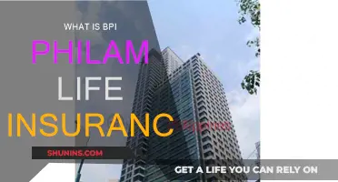 Philam Life Insurance: Your Guide to BPI Philam Insurance