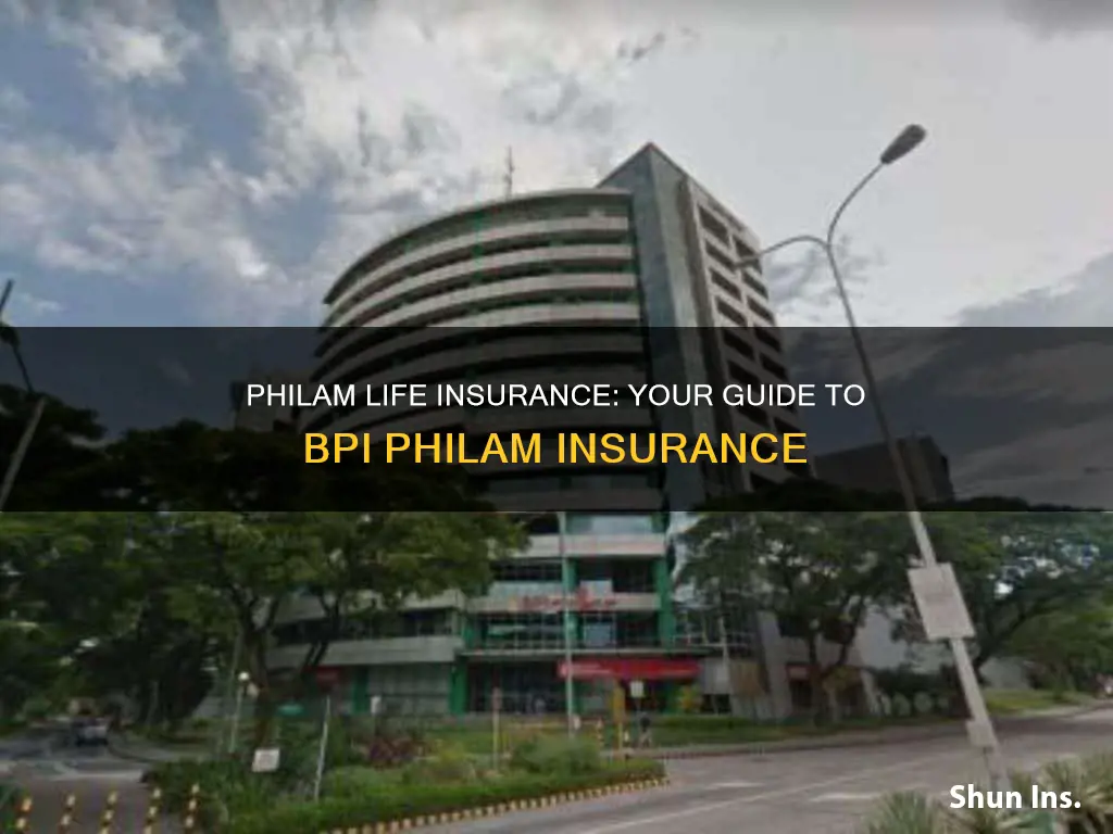 what is bpi philam life insurance