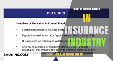 The Dark Art of Insurance Industry Bribery