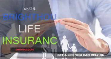 BrightHouse Life Insurance: What You Need to Know