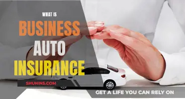 Business Auto Insurance: What You Need to Know