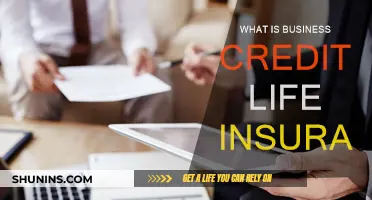 Credit Life Insurance: Protecting Your Business's Future