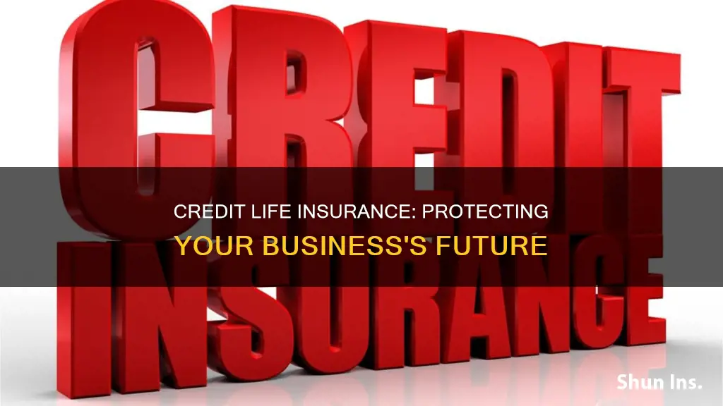 what is business credit life insurance