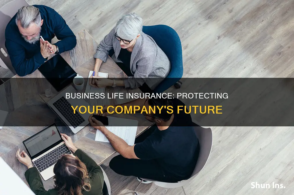 what is business life insurance used for