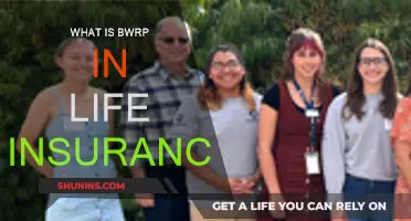 Life Insurance's BWRP: What You Need to Know