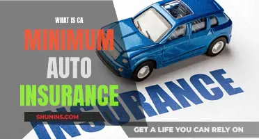 Auto Insurance Basics: California's Minimum Requirements Explained