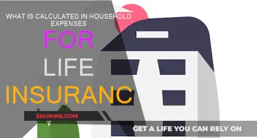 Calculating Life Insurance: What Household Expenses to Consider