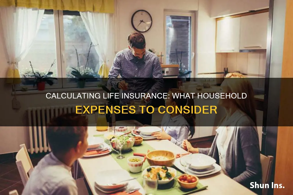 what is calculated in household expenses for life insurance