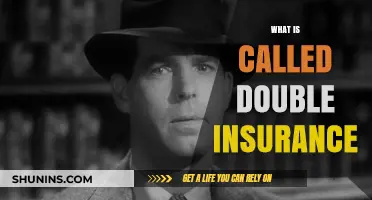 Understanding Double Insurance and Its Implications