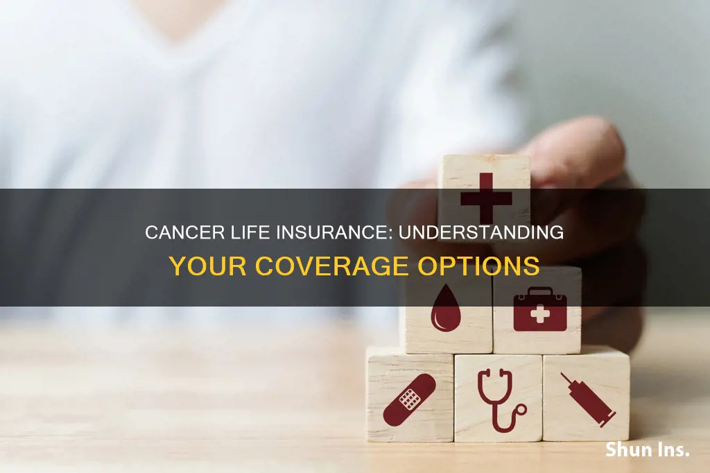 what is cancer life insurance