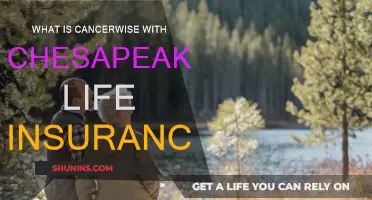 Cancerwise: Chesapeake Life Insurance Explained