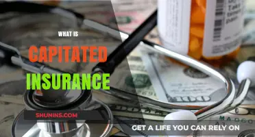 Understanding Capitated Insurance: A Comprehensive Guide to Fixed Payment Plans