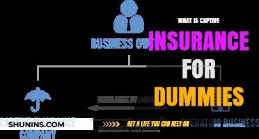 Captive Insurance Simplified: A Beginner's Guide to Self-Insuring Risks