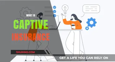 Understanding Captive Insurance: Benefits, Risks, and How It Works