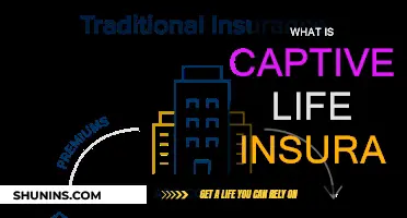 Captive Life Insurance: A Smart Business Strategy?