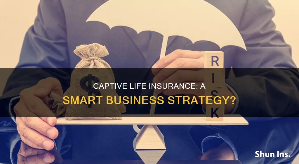 what is captive life insurance