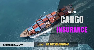 Understanding Cargo Insurance: Coverage, Benefits, and Why It’s Essential
