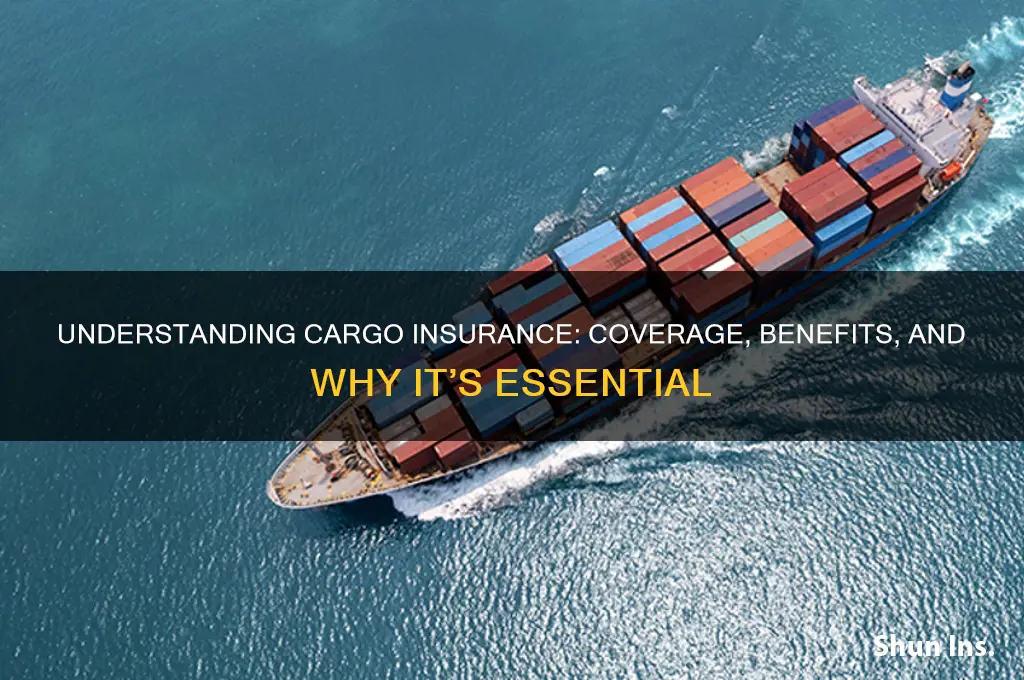 what is cargo insurance