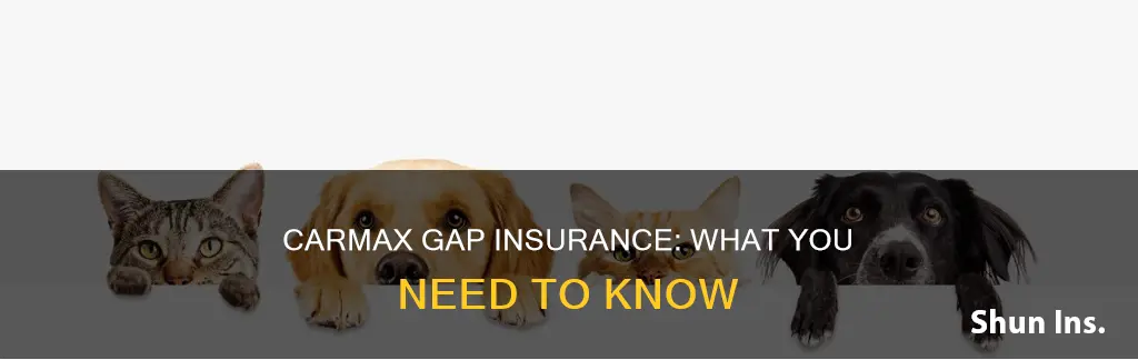 what is carmax gap insurance