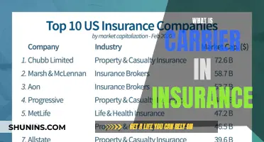 Insurance Carriers: Who They Are and What They Do