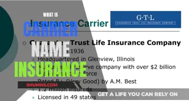 Carrier Name Insurance: What's in a Name?