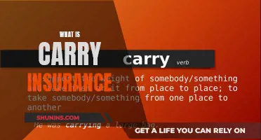 Carry Insurance: What It Is and Why You Need It