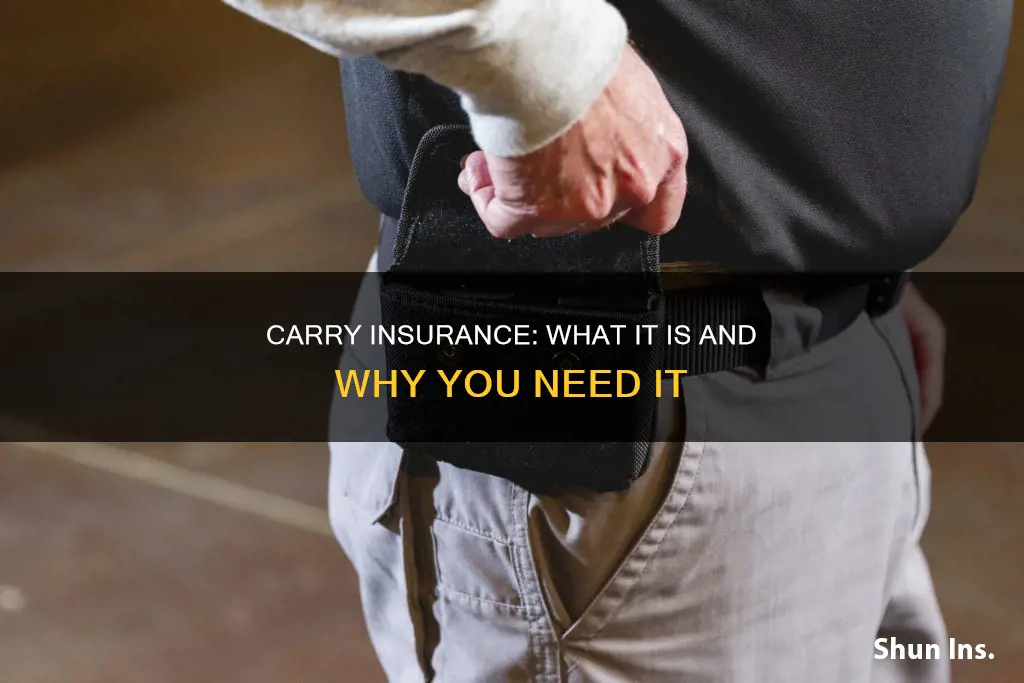 what is carry insurance