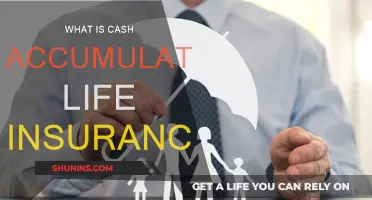 Life Insurance's Cash Accumulation: How Does It Work?