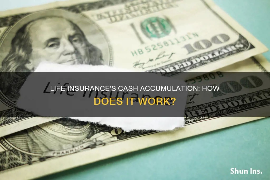 what is cash accumulation life insurance