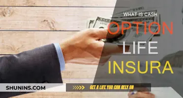 Understanding Cash Option Life Insurance Benefits