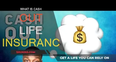 Understanding Cash Out Life Insurance Policies: Pros and Cons