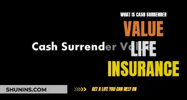 Understanding Life Insurance: Cash Surrender Value Explained