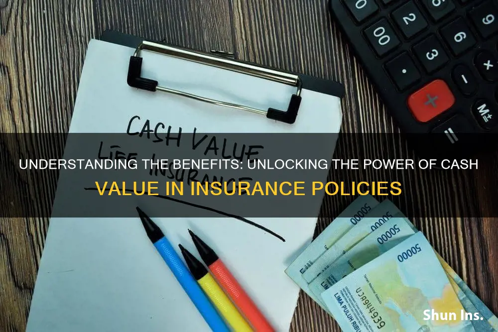 what is cash value in insurance terms