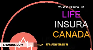 Understanding Cash Value Life Insurance in Canada