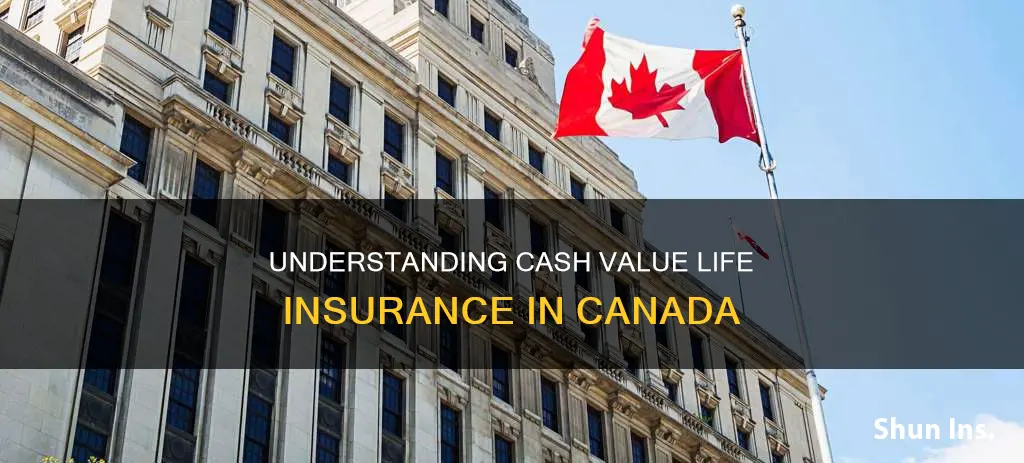 what is cash value life insurance canada